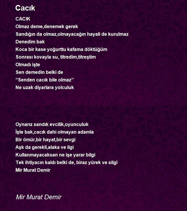 Mir Murat Demir