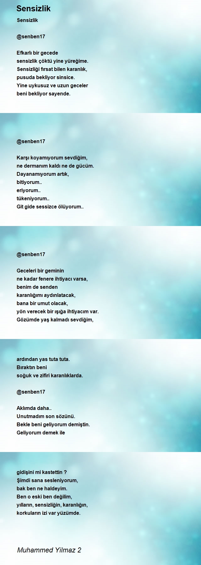 Muhammed Yilmaz 2