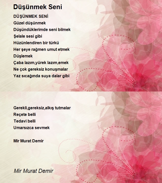 Mir Murat Demir