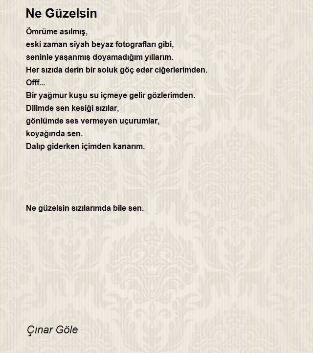Çınar Göle
