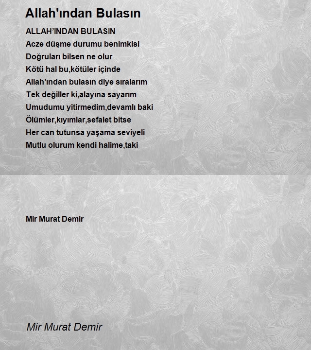 Mir Murat Demir