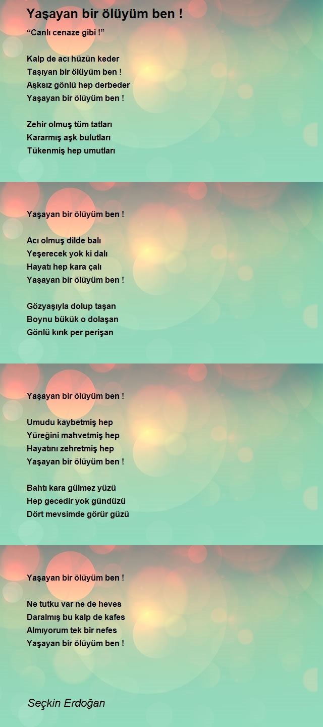 Seçkin Erdoğan