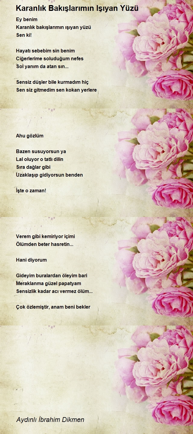 İbrahim Dikmen 2
