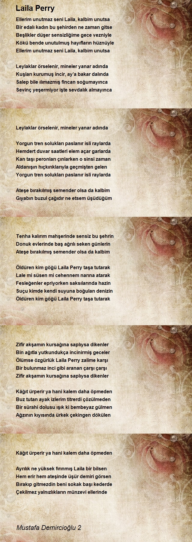 Mustafa Demircioğlu 2