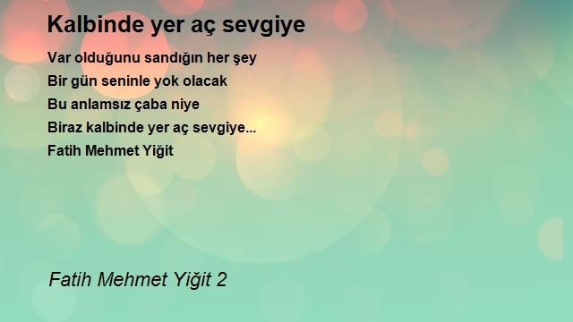 Fatih Mehmet Yiğit 2