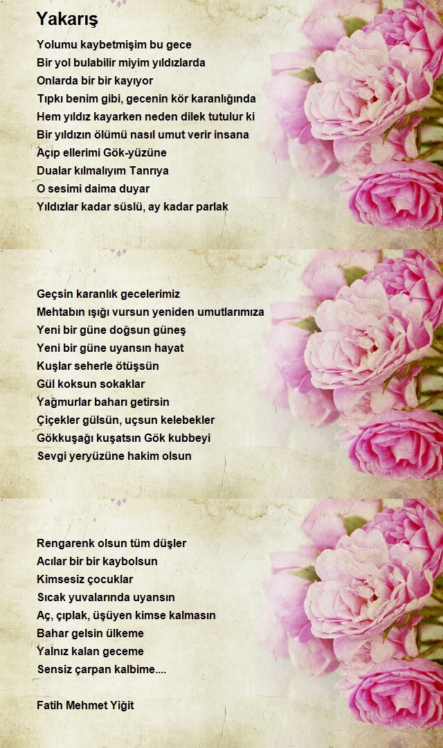 Fatih Mehmet Yiğit 2