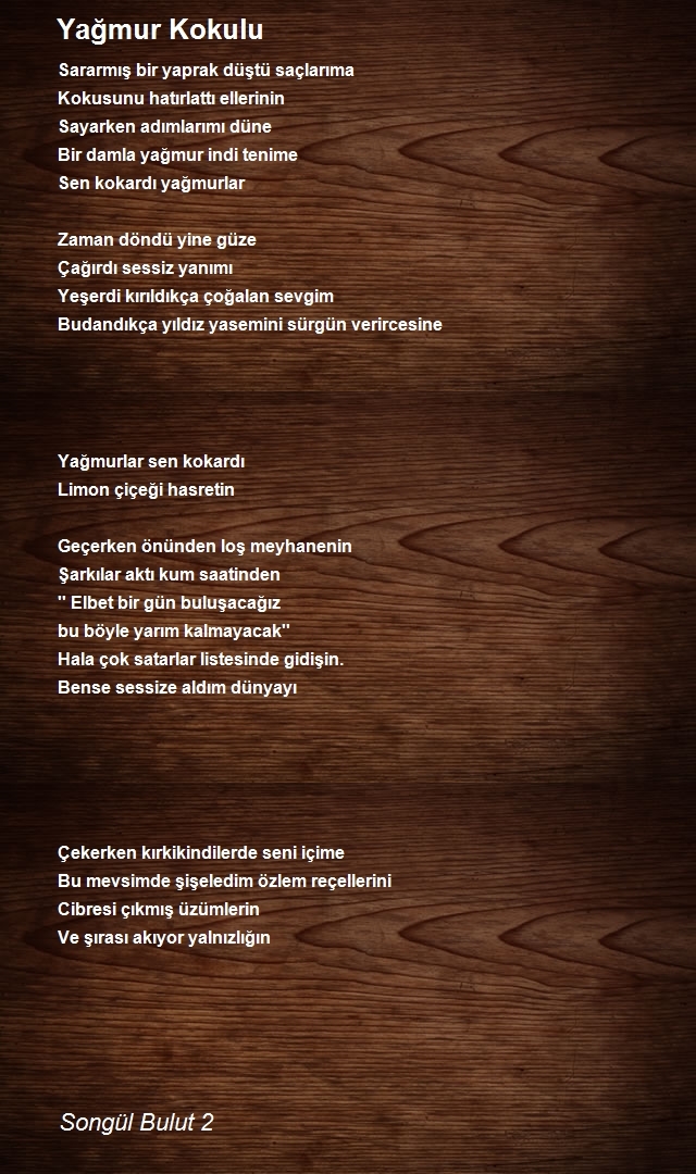 Songül Bulut 2