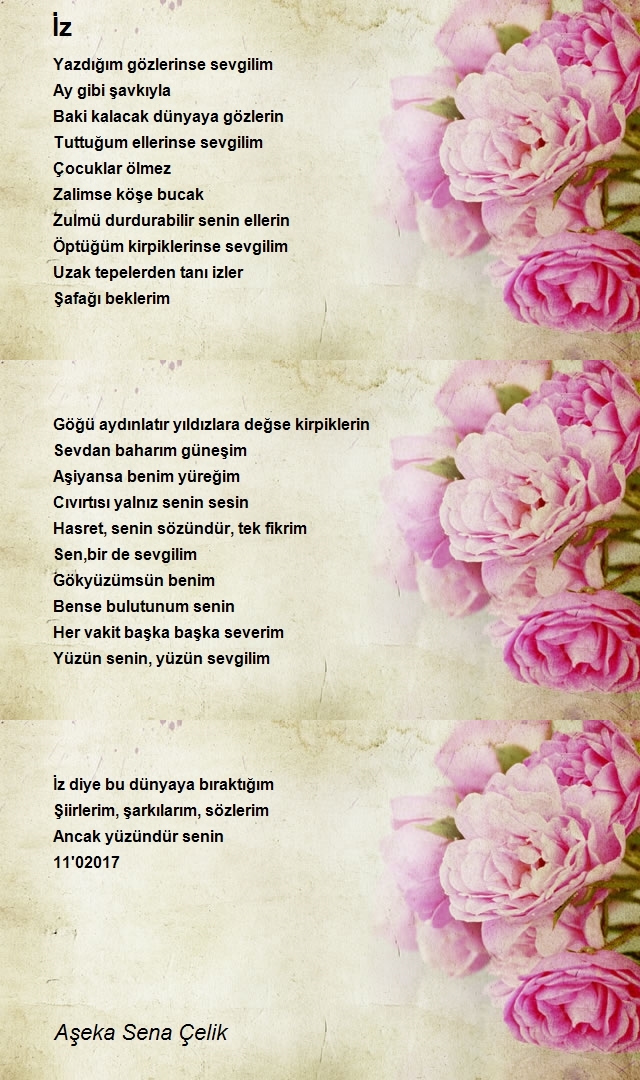 Aşeka Sena Çelik