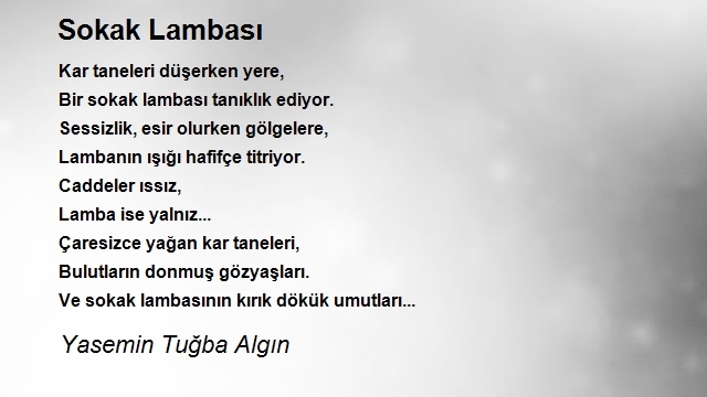 Yasemin Tuğba Algın