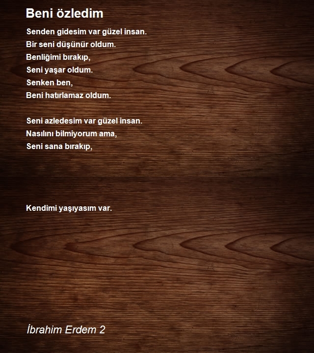 İbrahim Erdem 2