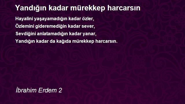 İbrahim Erdem 2