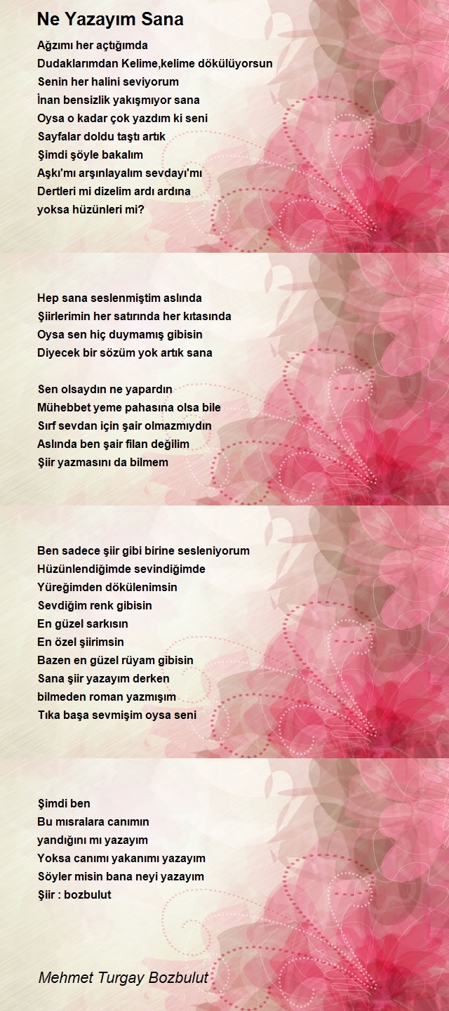 Mehmet Turgay Bozbulut