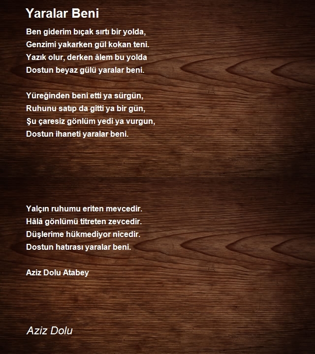 Aziz Dolu