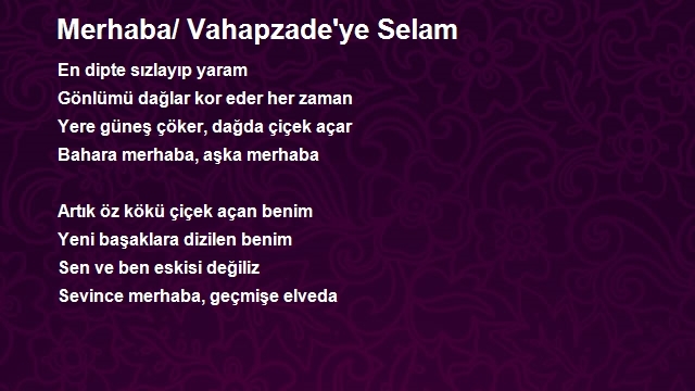 Onur Dikmeci