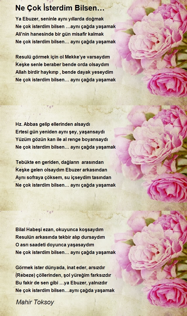 Mahir Toksoy