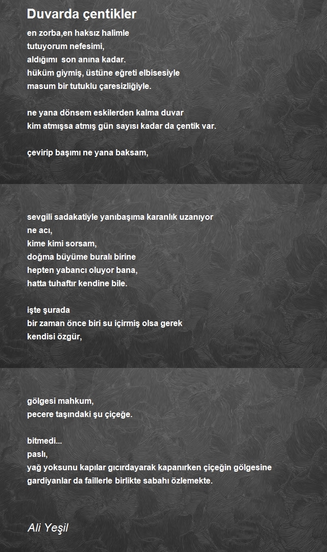 Ali Yeşil