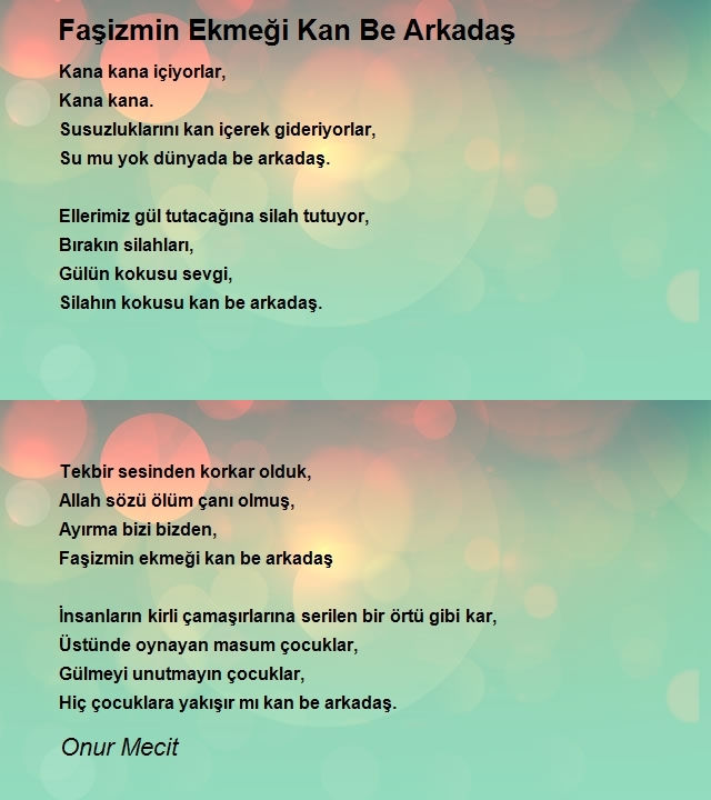 Onur Mecit