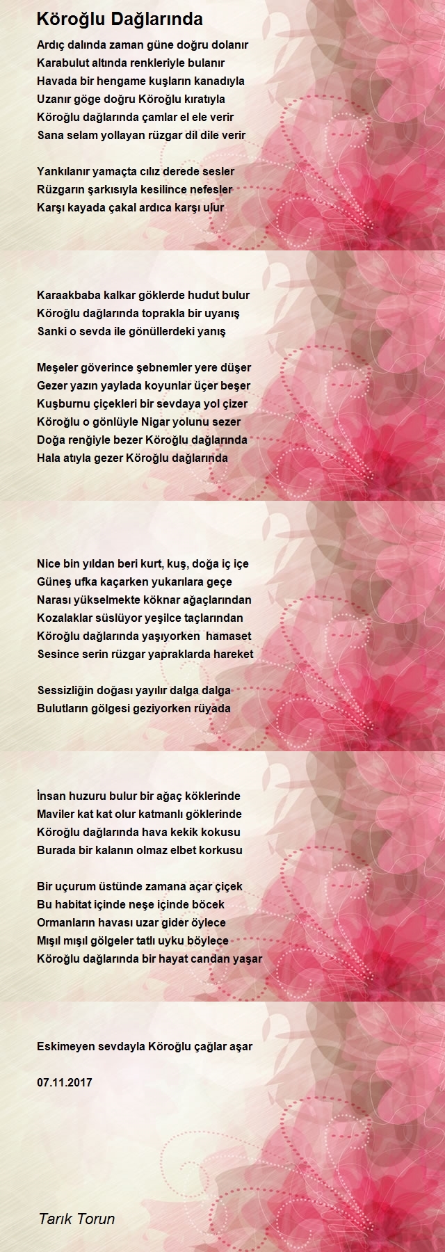 Tarık Torun