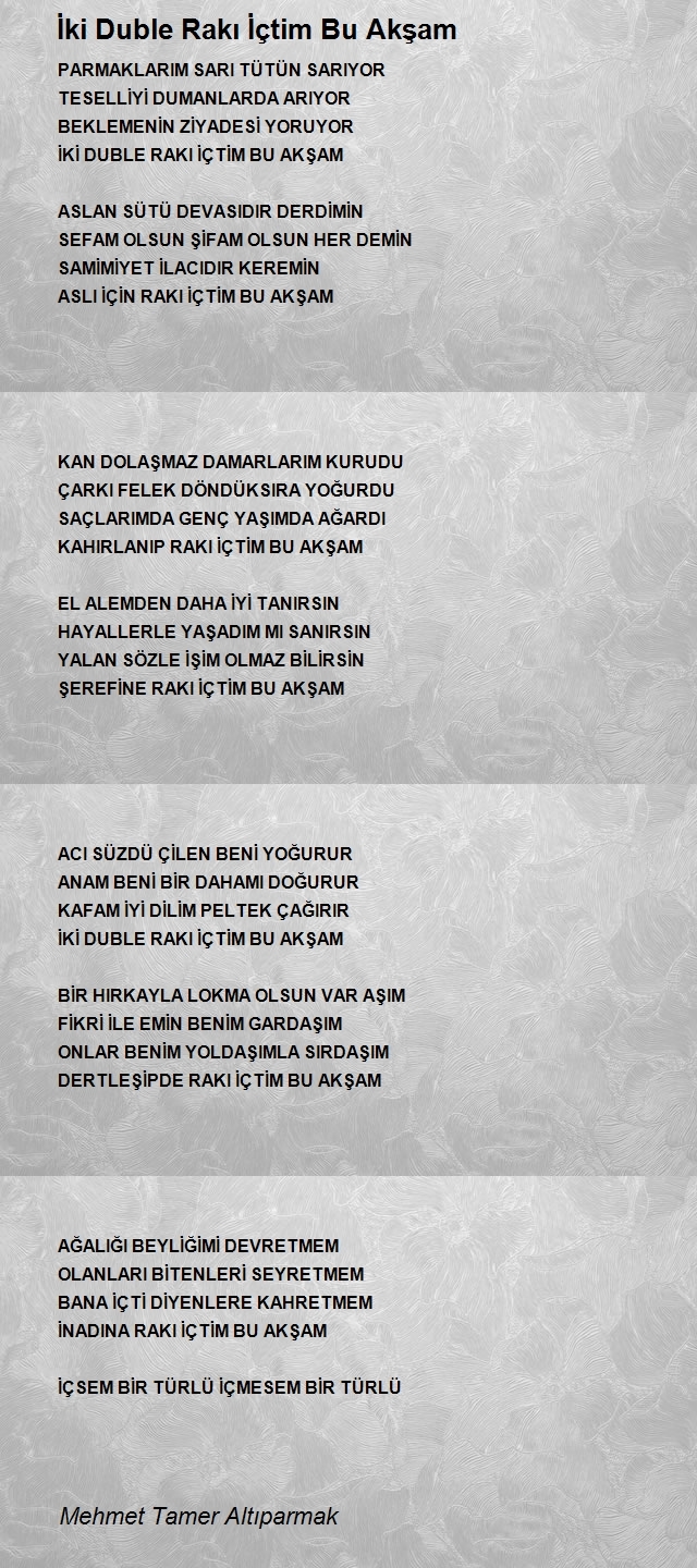 Mehmet Tamer Altıparmak