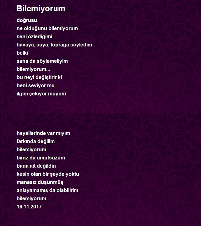 Aşk Aşkın Şehri Ordu