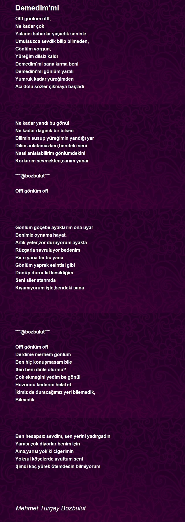Mehmet Turgay Bozbulut