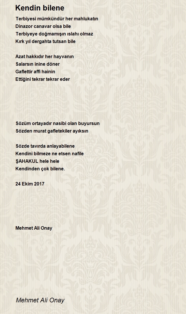 Mehmet Ali Onay