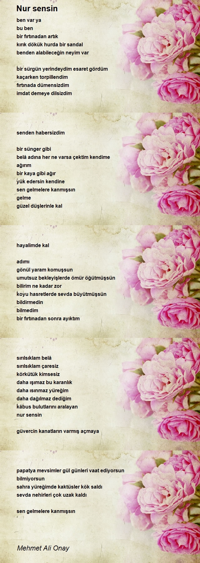 Mehmet Ali Onay