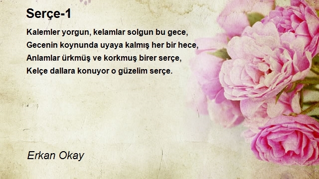 Erkan Okay