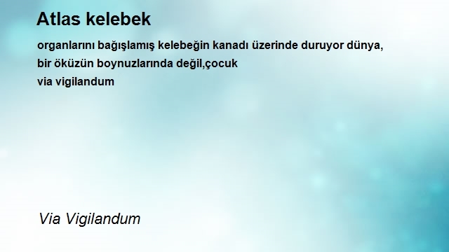 Via Vigilandum