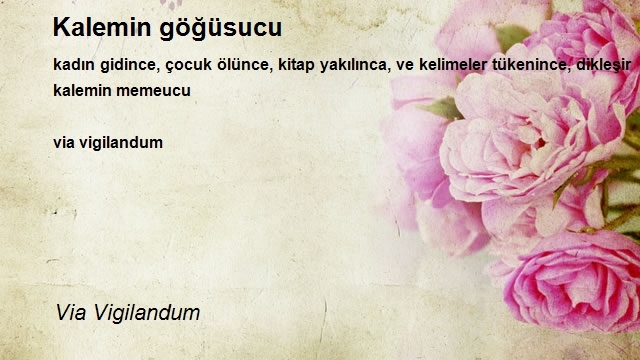 Via Vigilandum