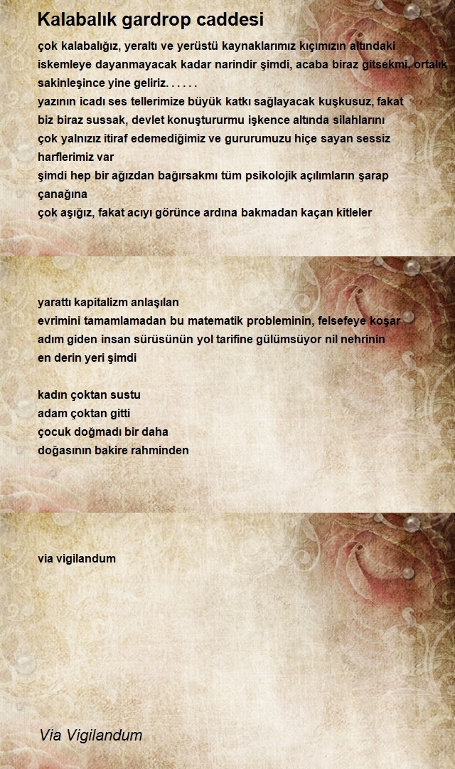 Via Vigilandum