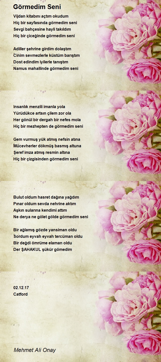 Mehmet Ali Onay