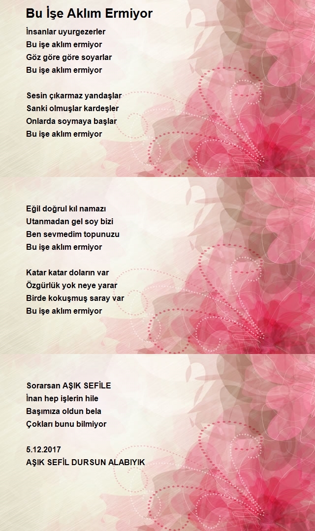 Dursun Alabıyık 2