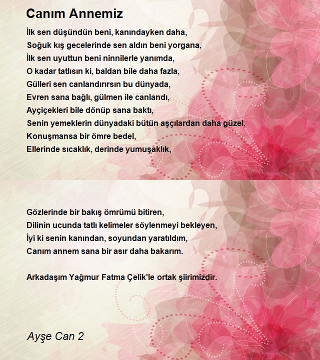 Ayşe Can 2