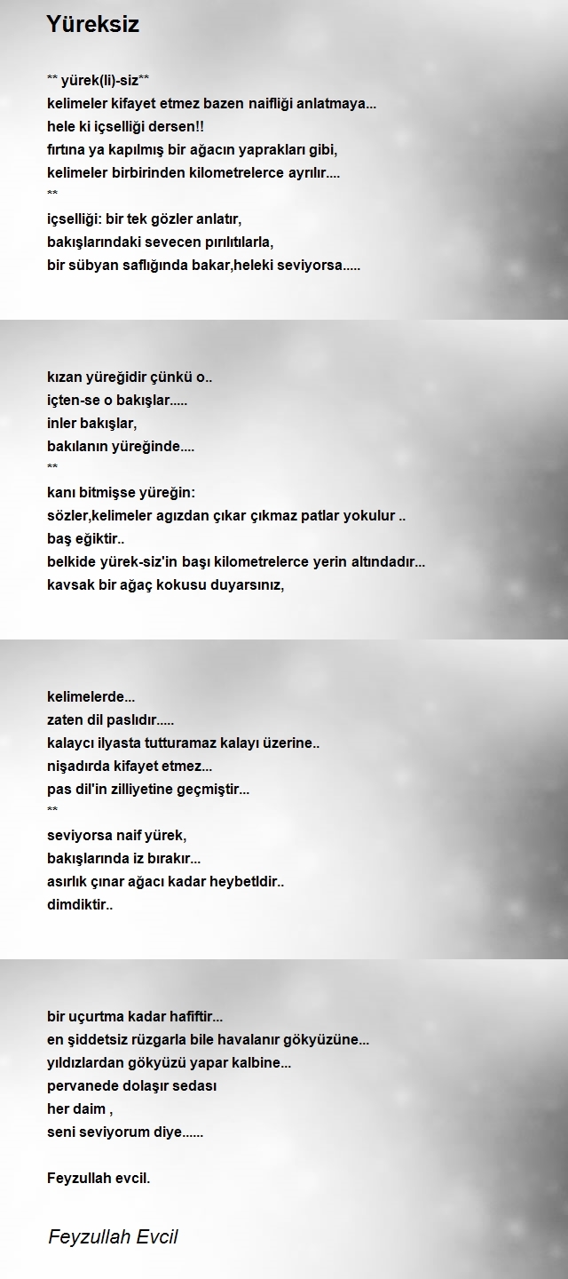 Feyzullah Evcil