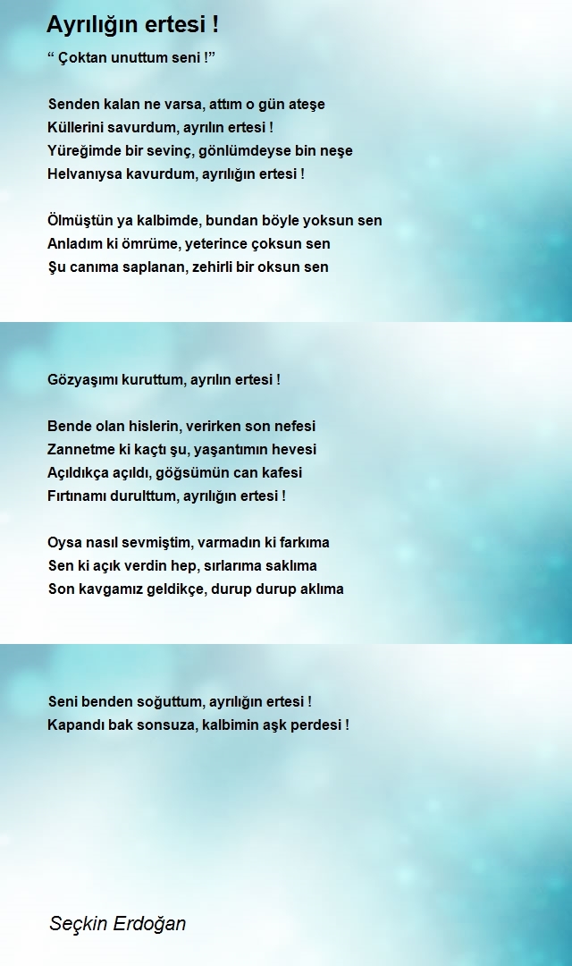 Seçkin Erdoğan
