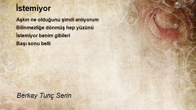 Berkay Tunç Serin