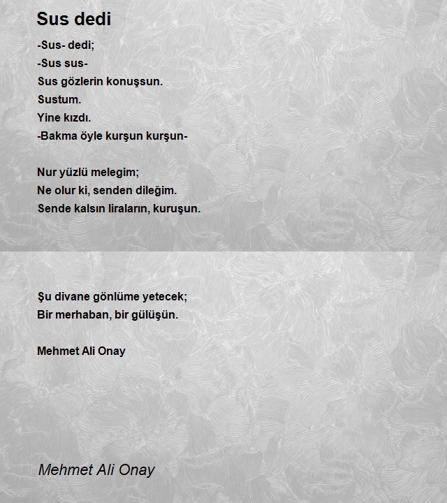 Mehmet Ali Onay