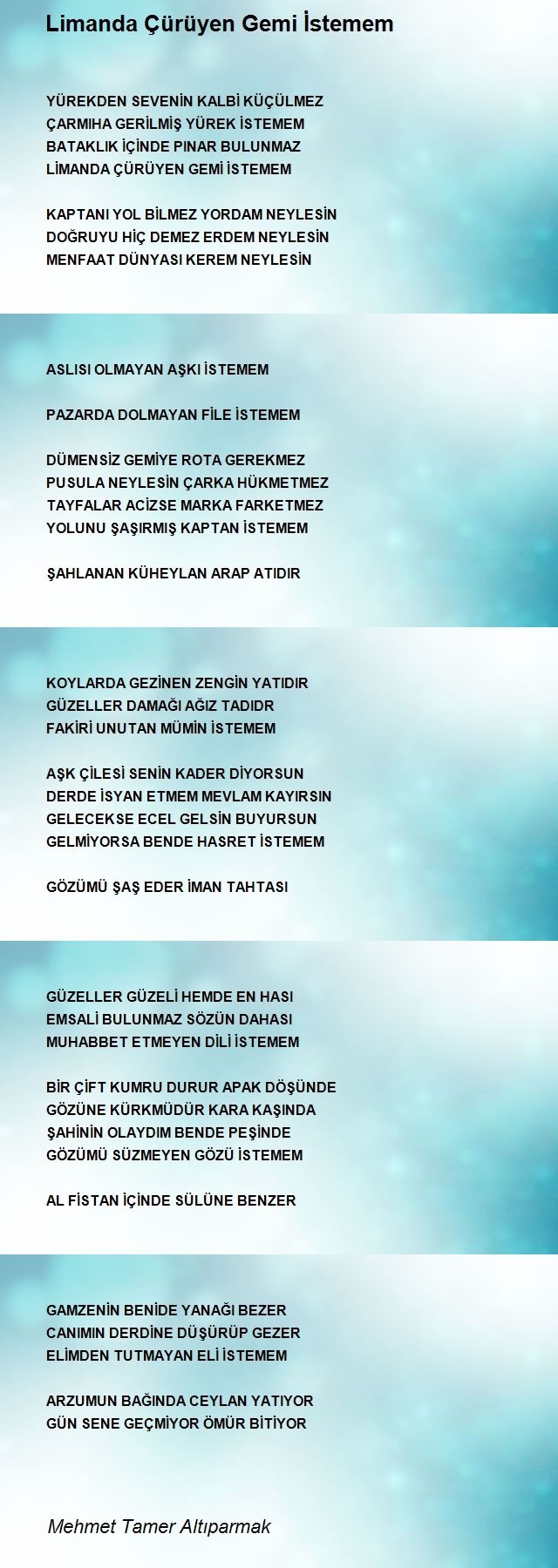 Mehmet Tamer Altıparmak