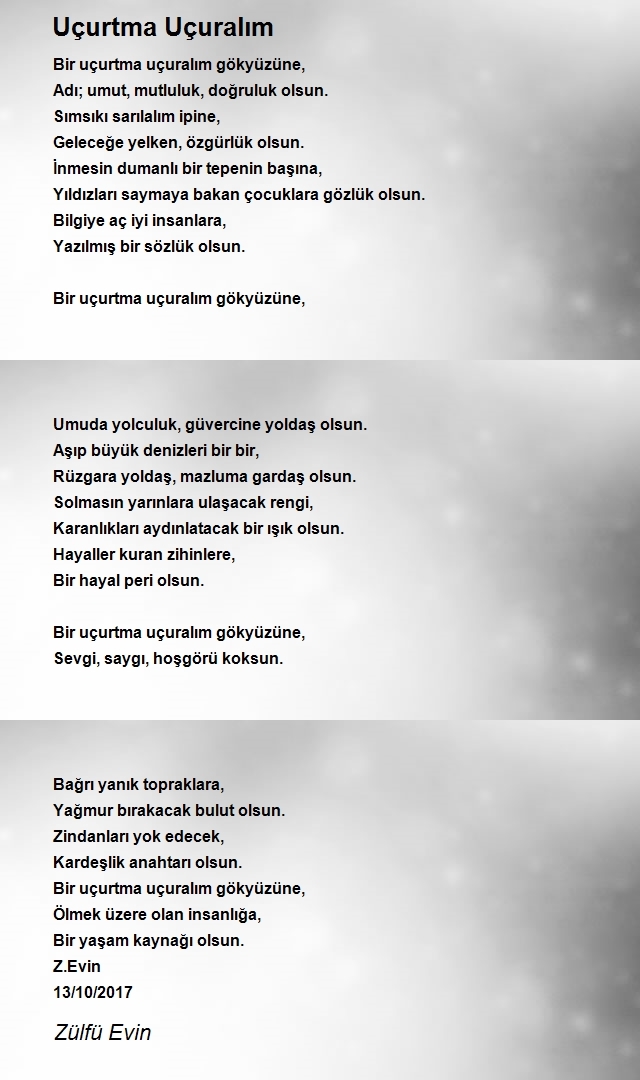 Zülfü Evin