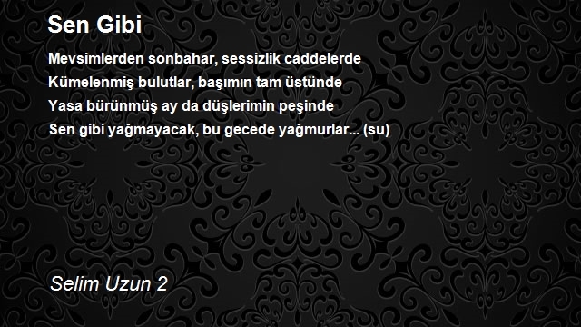 Selim Uzun 2