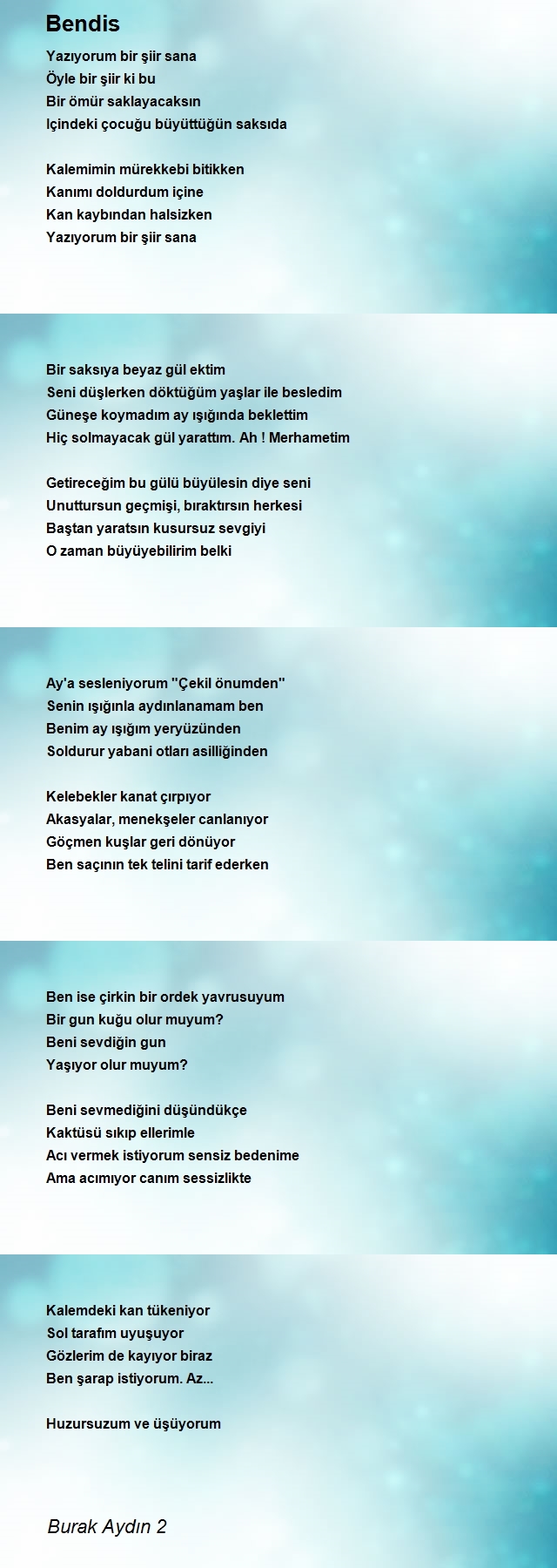 Burak Aydın 2