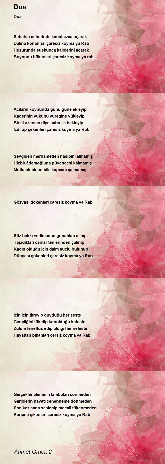 Ahmet Örnek 2