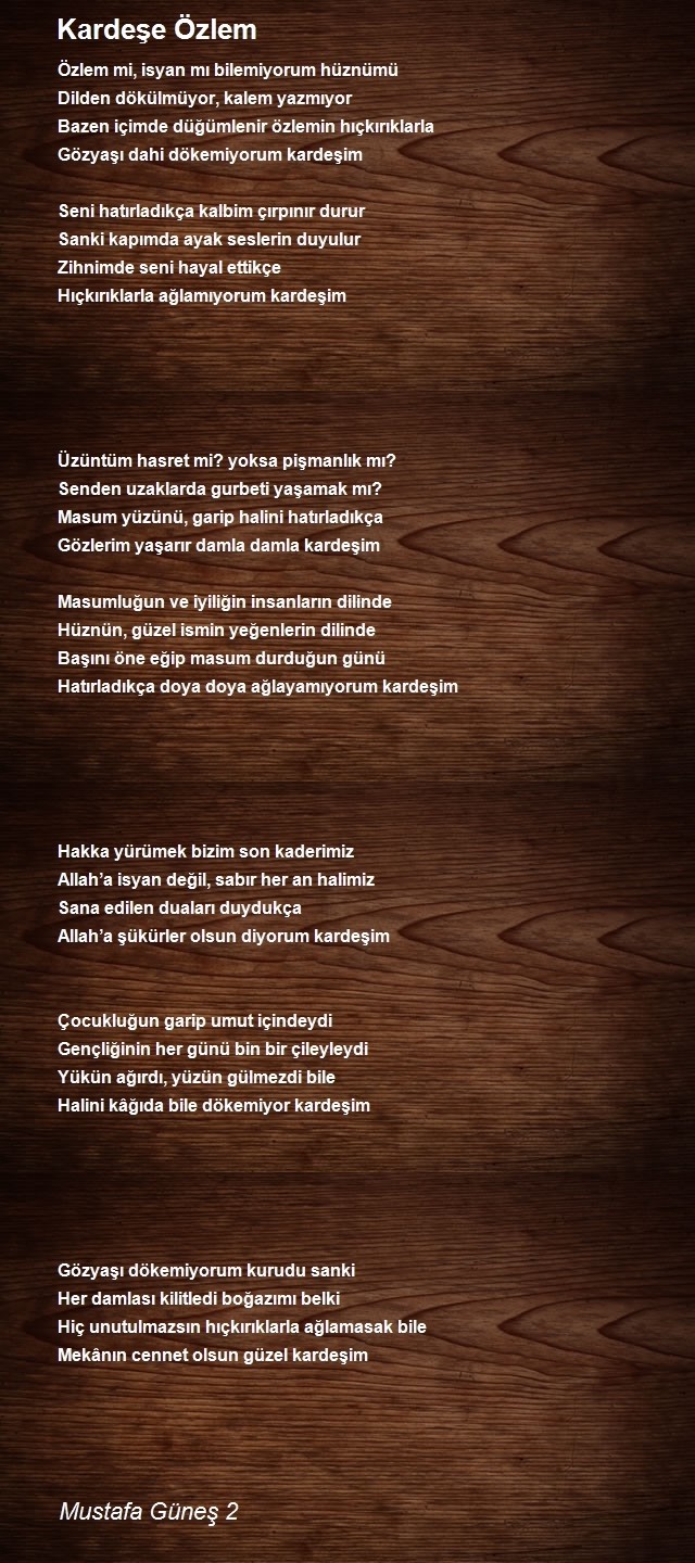 Mustafa Güneş 2