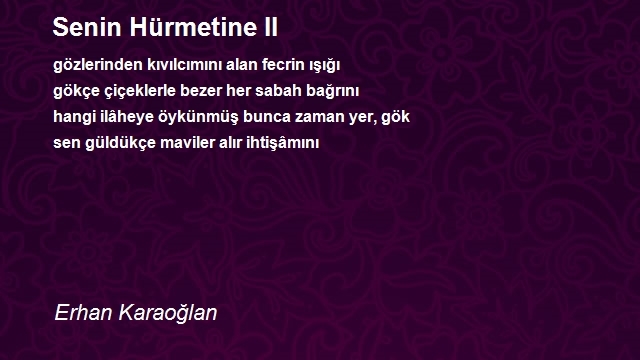 Erhan Karaoğlan