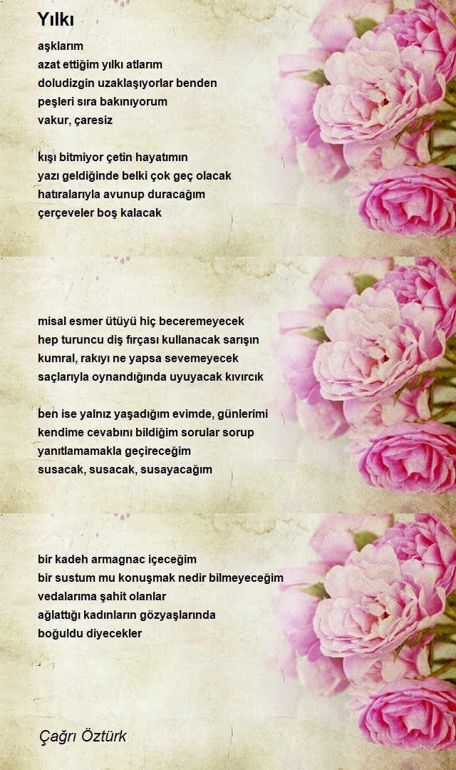 Çağrı Öztürk
