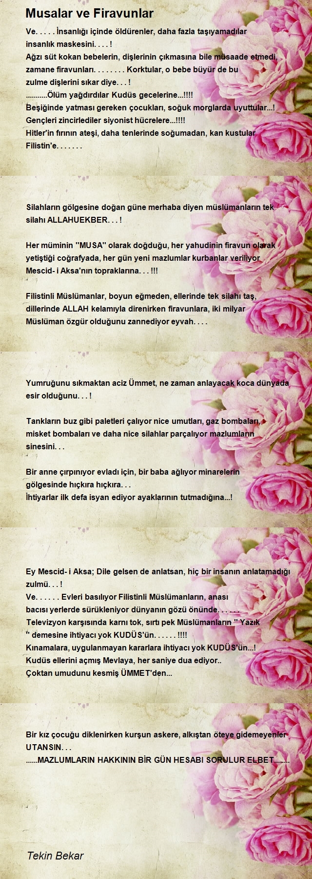 Tekin Bekar