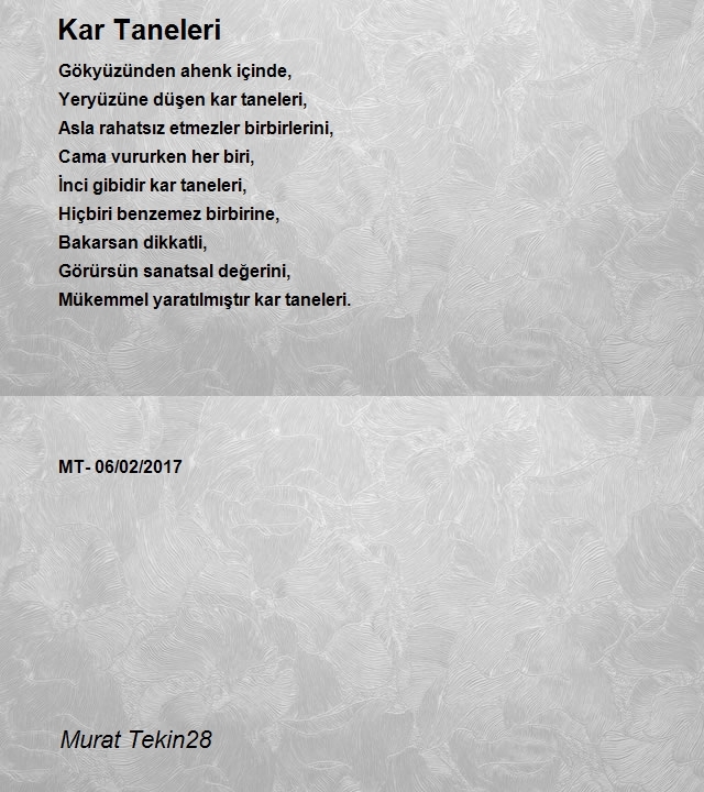 Murat Tekin28