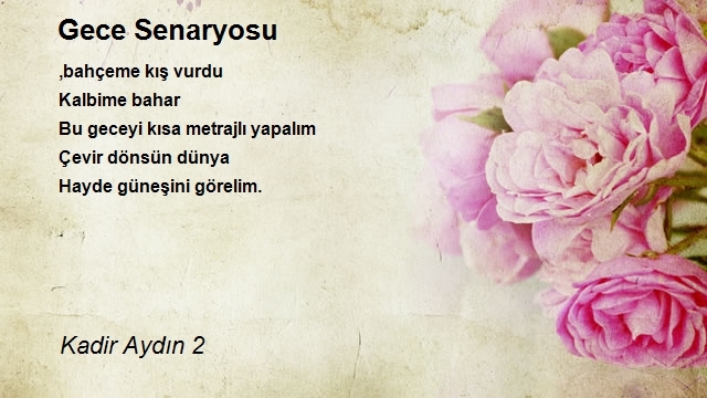 Kadir Aydın 2