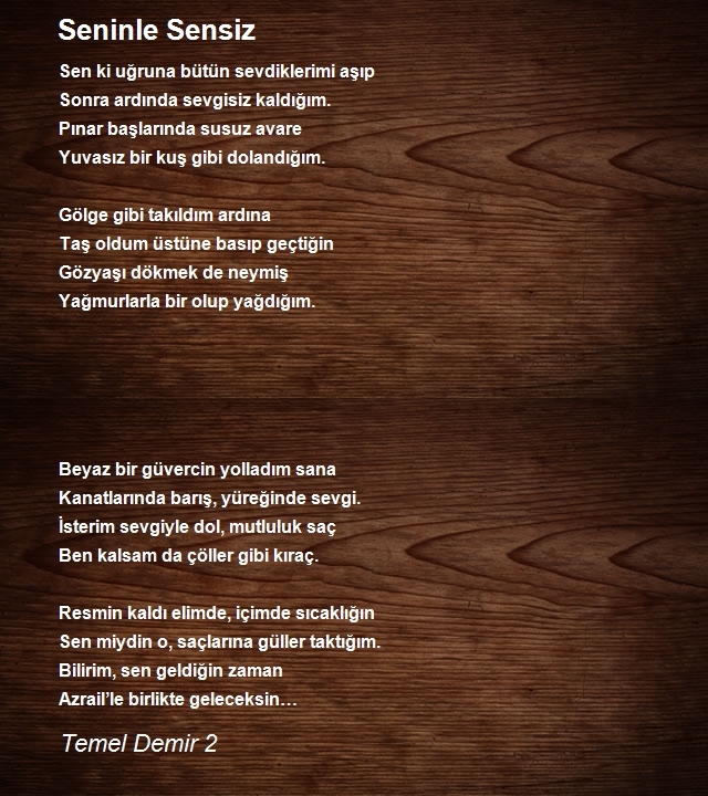 Temel Demir 2